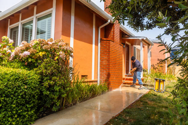 Best Pressure Washing Company Near Me  in Wynne, AR